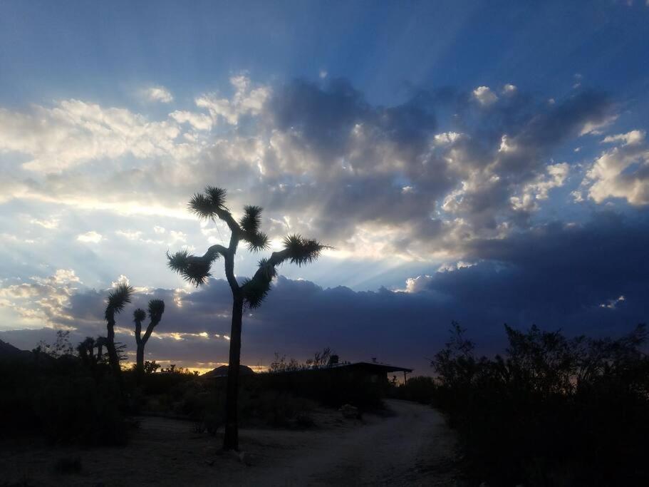 Steph'S Panorama Paradise-Nat'L Park Minutes Away Joshua Tree Esterno foto