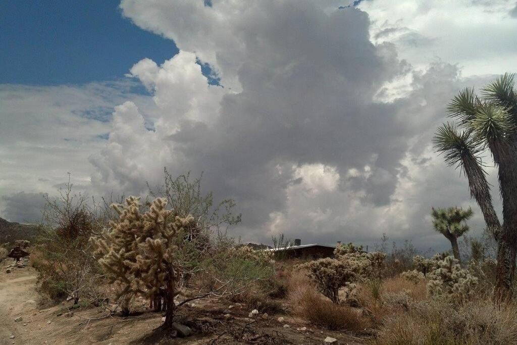 Steph'S Panorama Paradise-Nat'L Park Minutes Away Joshua Tree Esterno foto