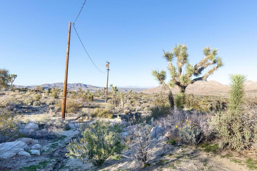 Steph'S Panorama Paradise-Nat'L Park Minutes Away Joshua Tree Esterno foto