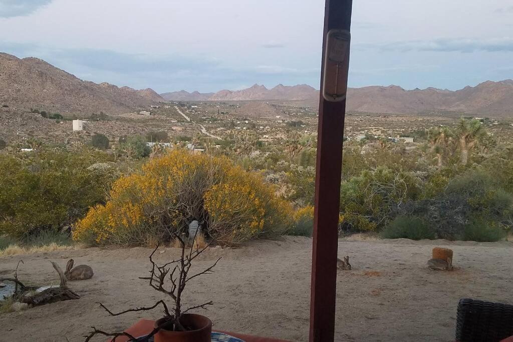 Steph'S Panorama Paradise-Nat'L Park Minutes Away Joshua Tree Esterno foto