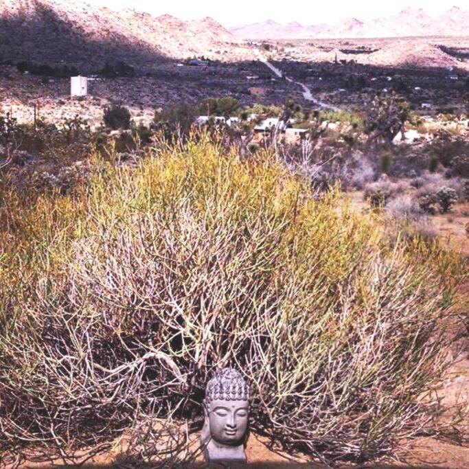 Steph'S Panorama Paradise-Nat'L Park Minutes Away Joshua Tree Esterno foto
