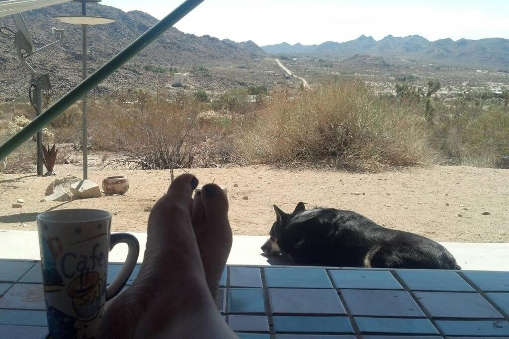 Steph'S Panorama Paradise-Nat'L Park Minutes Away Joshua Tree Esterno foto