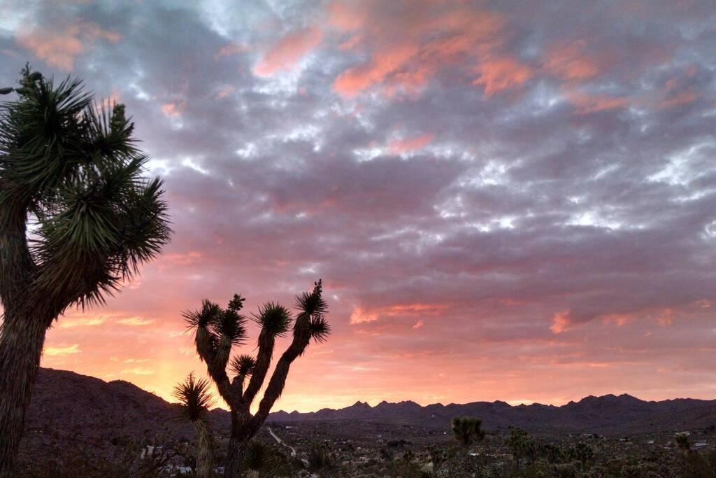 Steph'S Panorama Paradise-Nat'L Park Minutes Away Joshua Tree Esterno foto