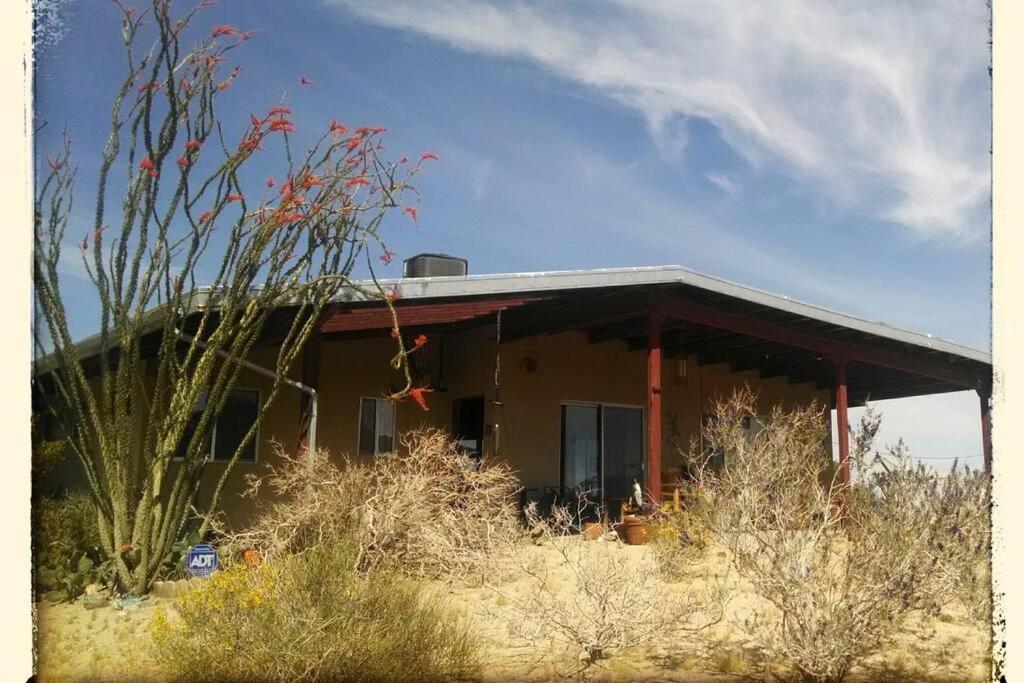 Steph'S Panorama Paradise-Nat'L Park Minutes Away Joshua Tree Esterno foto