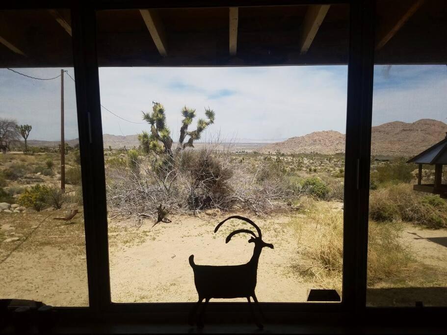 Steph'S Panorama Paradise-Nat'L Park Minutes Away Joshua Tree Esterno foto